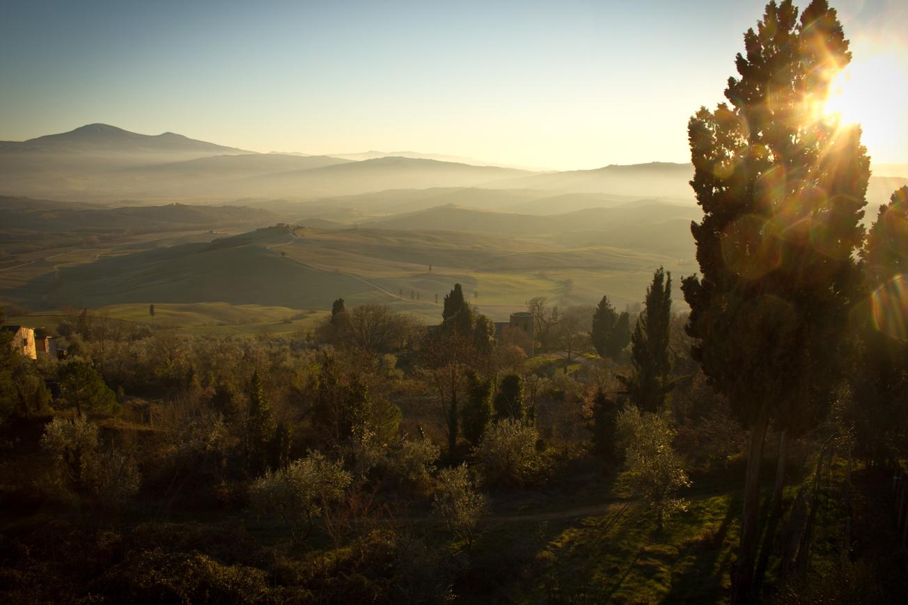 Dolor possimus quas officiis occaecati sed tempora incidunt