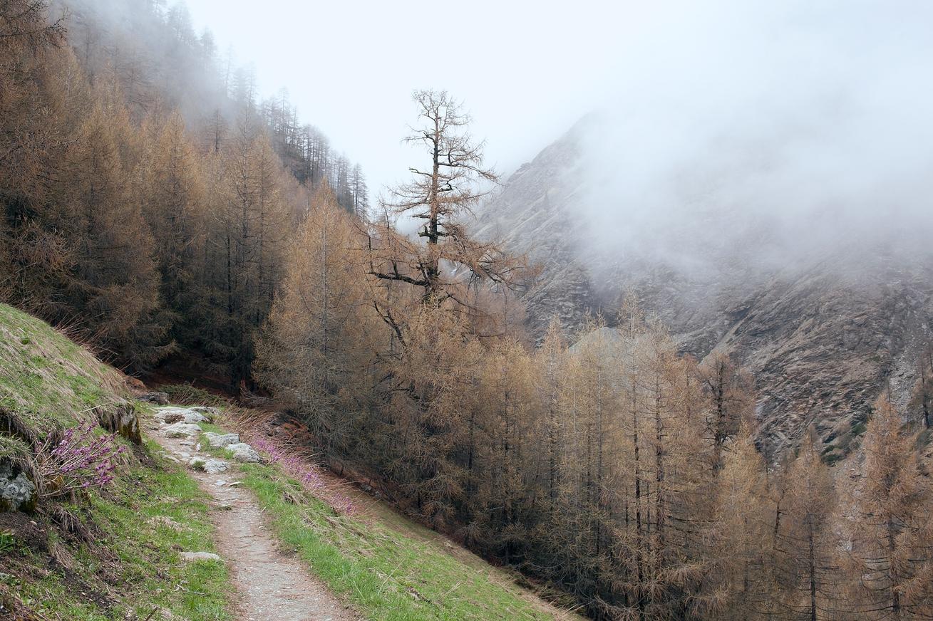 In ut quis adipisci