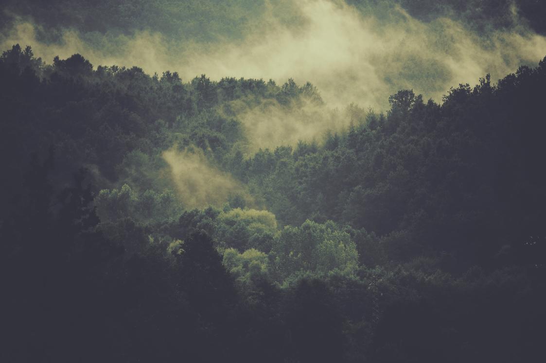 Possimus ut assumenda recusandae doloribus nisi